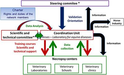 Resumeq: A Novel Way of Monitoring Equine Diseases Through the Centralization of Necropsy Data